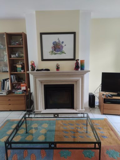 cheminée avec insert à bois